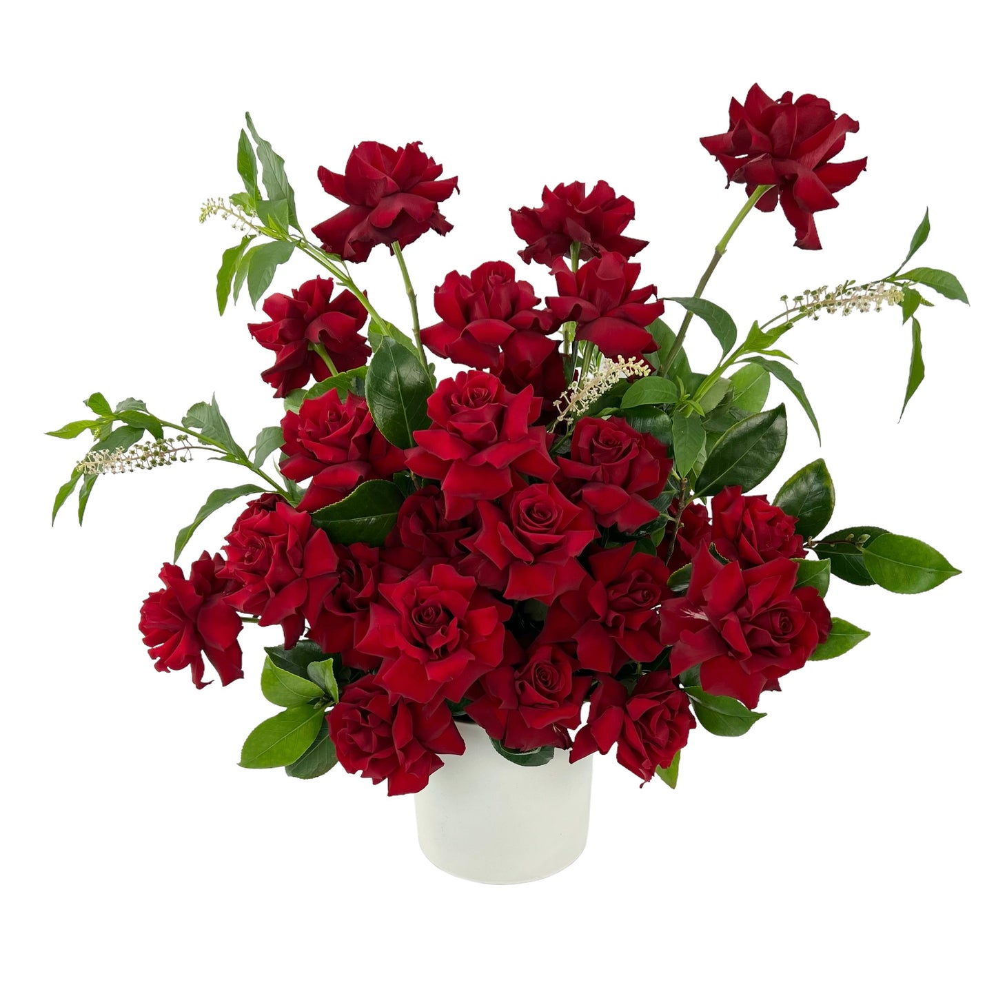Glamour - Luxe Reflexed Red Roses