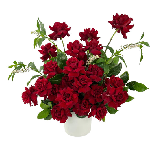 Glamour - Luxe Reflexed Red Roses
