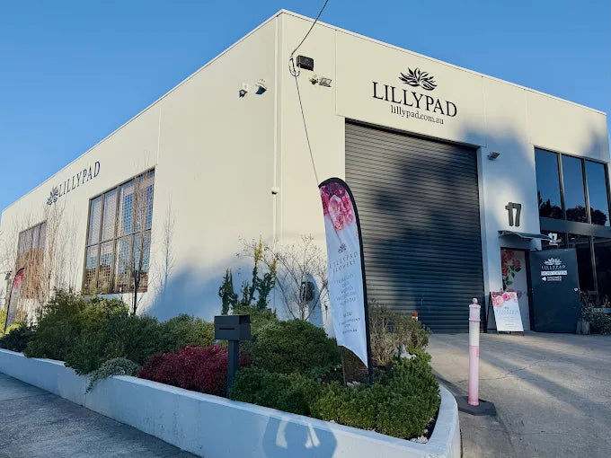 Our Store