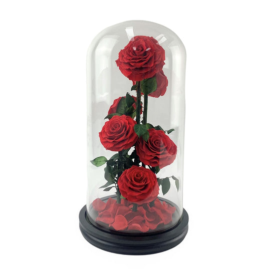 Passion - 6 Premium Preserved Red Roses in Glass Dome