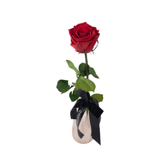 Preserved Long Stem Red Rose - Romantic Rose Keepsake