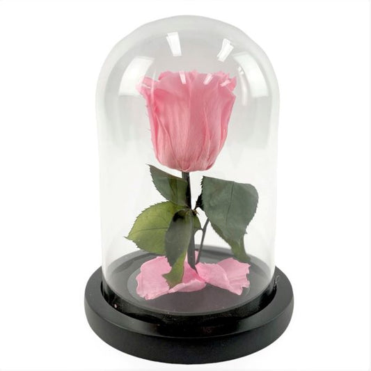 Precious - Preserved Pink Rose Flower in Glass Dome