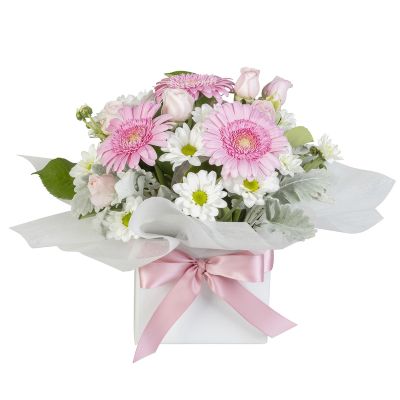 Sweet Gerberas - Gerbera & Daisy Chrysanthemum Mini Box (Interflora)