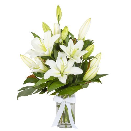 Sympathy Lilies - White Oriental Lily Vase Arrangement (Interflora)