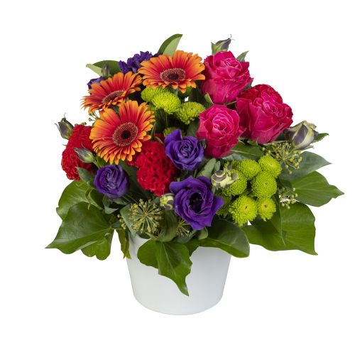 Viva Flowers - Pink, Purple & Lime Arrangement in Ceramic (Interflora)