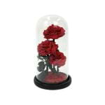 Triple Red Rose Dome in Glass 