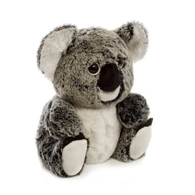 Koala Bear Soft Toy