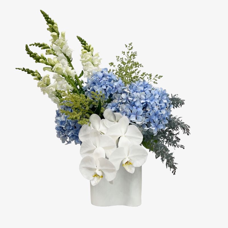 Ribbed infinity vase with blue hydrangea, white phalaenopsis, snapdragons and seasonal foliage to suit
