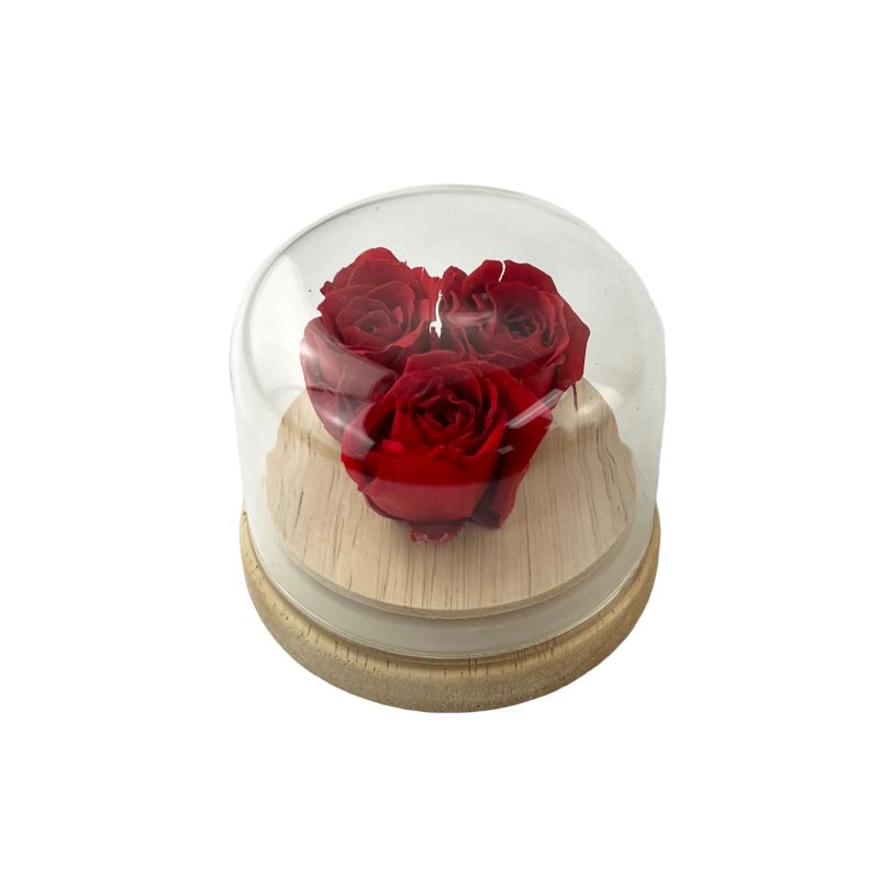 Preserved red roses in glass dome