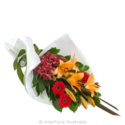 Red gerbera, orchids and orange lily sheaf bouquet, perfect for congratulations, birthday or business opening gift! Same day delivery in Melbourne.