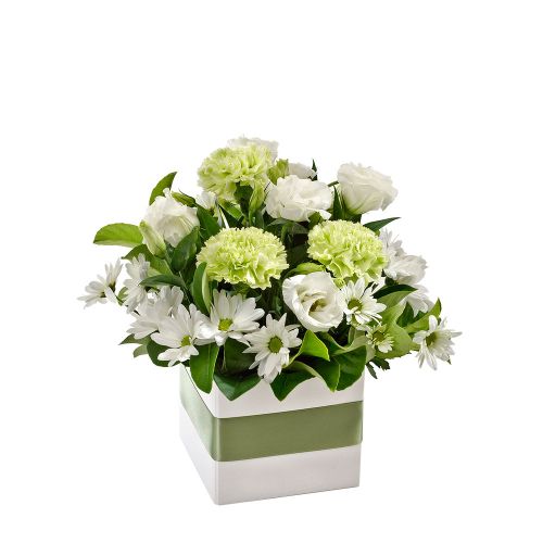 Petite white and green arrangement in white box.