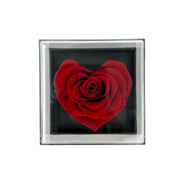 Fancy - Preserved Red Rose Box
