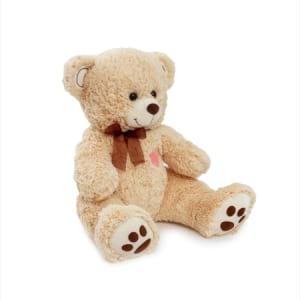 Jimmy Bear 50 cm (Melb Only)