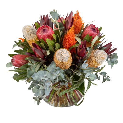Native wildflower bouquet of banksias, proteas, leaucadendrons with gum in fishbowl vase. Melbourne and Australia wide delivery with Interflora Flowers.