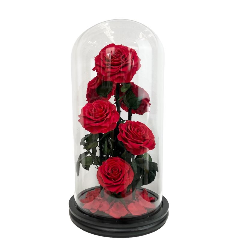 Seven premium preserved red roses in glass dome - Melbourne delivery only.