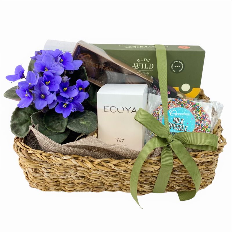 African violet pot plant hamper with Chocolatier chocolates, Ecoya candle and We the Wild Plant Care Kit