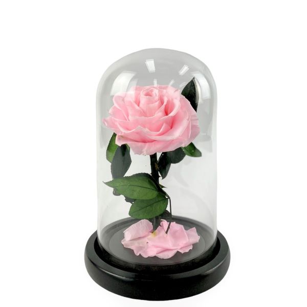 Everlasting Pink Rose in Glass Dome - Melbourne delivery