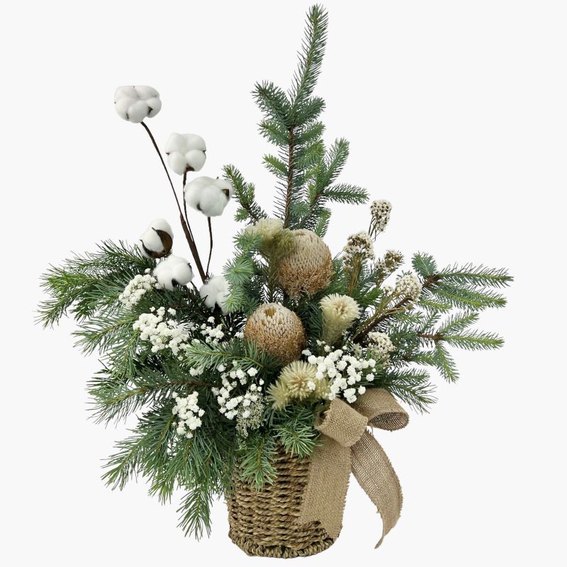Dried and fresh Christmas arrangement featuring banksias, daisy, babies breath, cotton and phylica