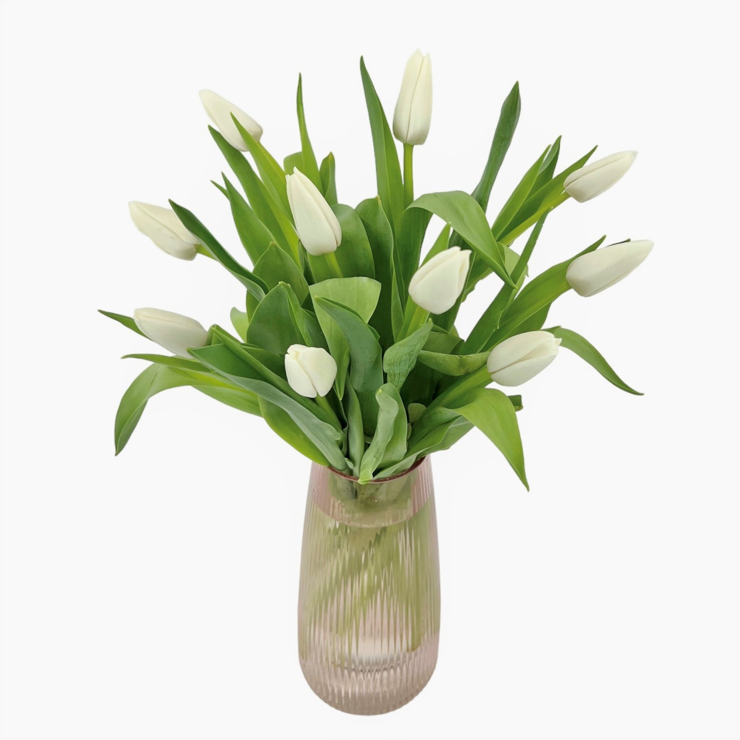 Ruby - Elegant white tulip bouquet presented with vase. 